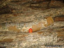 泉州大葉黃楊木地板批發(fā)與供應指南