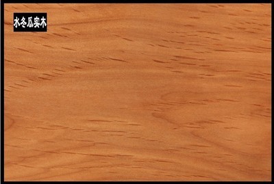 佛山市南海區(qū)駿藤家具 熱推新品真藤沙發(fā)，引領(lǐng)酒店家具新潮流