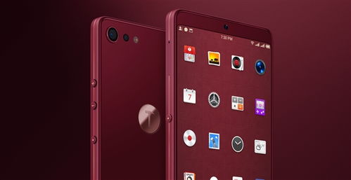 堅果Pro 2防抖效果引熱議，羅永浩犀利點評彰顯堅果科技態度